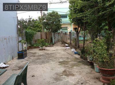 Nhà vườn rộng 200 m2 (5 x 40), gần RMIT / Phú Mỹ Hưng, TPHCM, chỉ 2,7T - Xã Phong Phú  -  Huyện Bình Chánh 