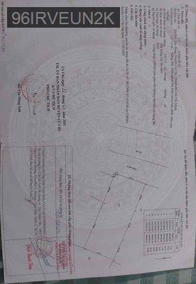 CẦN BÁN LÔ ĐẤT TRỒNG CÂY LÂU NĂM MẶT TIỀN BỜ SÔNG SÀI GÒN - Xã Phú Hòa Đông  -  Huyện Củ Chi 