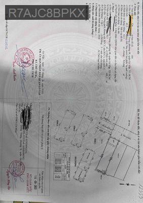 Nhà chính chủ, HXT, Quang Trung, P8, GV - Phường 8  -  Quận Gò Vấp 