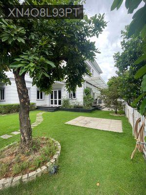 Bán  biệt thự khu Compound TP. Thủ Đức 434m2 giá chỉ 31 tỷ - Phường Hiệp Bình Phước  -  Quận Thủ Đức 