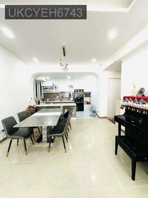 Gia đình đi định cư cần bán Căn nhà cái Ruby xịn xò lầu 7 view sông - Phường 22  -  Quận Bình Thạnh 