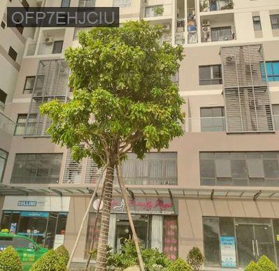 CẦN BÁN GẤP CĂN HỘ FULL NỘI THẤT TỪ 3 TỶ . THE PEGASUITE 2 - Phường 6  -  Quận 8 