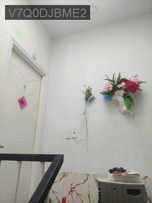 Chính chủ bán nhà 2pn - 2wc Tân Bình - Phường 15  -  Quận Tân Bình 