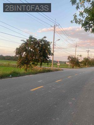 Bán Đất Mặt Tiền Võ Văn Điều - Xã Trung Lập Thượng  -  Huyện Củ Chi 