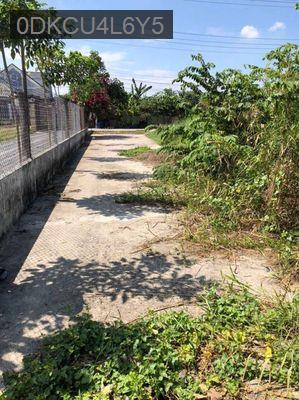 Đất thổ cư, diện tích 125m2 đường Võ Văn Ngân Thị trấn Đức Hòa Long An - Thị trấn Đức Hoà  -  Huyện Đức Hòa 