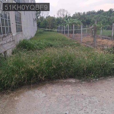 ĐẤT THỔ CƯ Ở LONG AN - Xã Thanh Phú  -  Huyện Bến Lức 