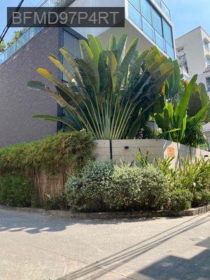 Biệt thự, 2 mặt tiền, 5 tầng, hẻm xe hơi giảm giá mạnh, Tân Bình - Phường 15  -  Quận Tân Bình 