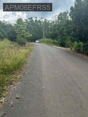 Cần bán đất có thổ cư  mặt tiền đường nhựa An Long, Phú Giáo. - Xã An Long  -  Huyện Phú Giáo 