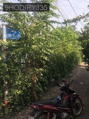 Bán đất - Xã Tân Hiệp  -  Huyện Hóc Môn  - 153m² - 2.9tỷ