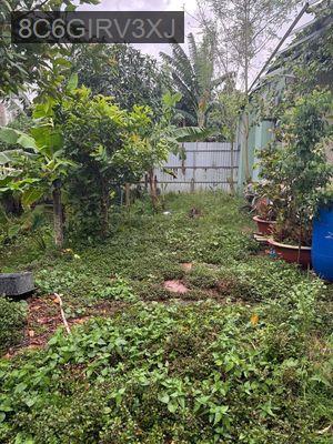 Bán đất diện tích 68m2, 4x17 Xuân Thới Thượng, Hốc Môn, Hồ Chí Minh - Xã Xuân Thới Thượng  -  Huyện Hóc Môn 