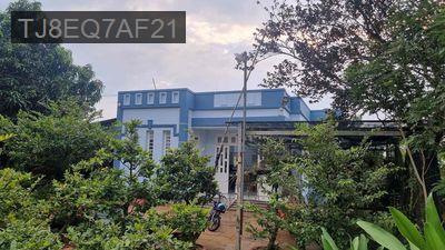 Bán nhà vườn giá đẹp tại Thái Mỹ Củ Chi có bìa 3200m2 chính chủ - Xã Thái Mỹ  -  Huyện Củ Chi 