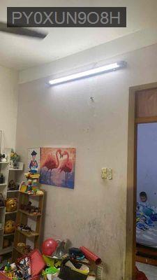 cần bán - Phường 12  -  Quận Tân Bình 