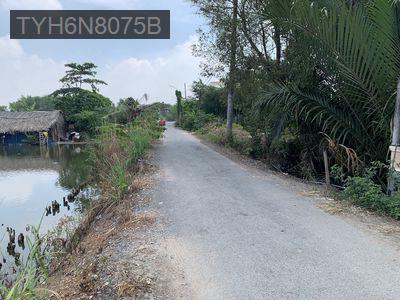 Bán đất diện tích lớn - Xã Phong Phú  -  Huyện Bình Chánh 