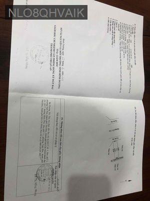 Bán thu hồi dãy trọ mặt tiền đường đôi Bình Hoà 24 - Phường Bình Hòa  -  Thị xã Thuận An 