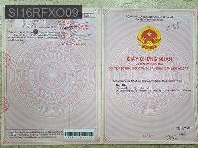 CHÍNH CHỦ BÁN NHÀ MTKD ĐƯỜNG MỸ HẠNH, ĐỨC HÒA, LONG AN, SHR, 242M2 THO - Xã Xuân Thới Sơn  -  Huyện Hóc Môn 