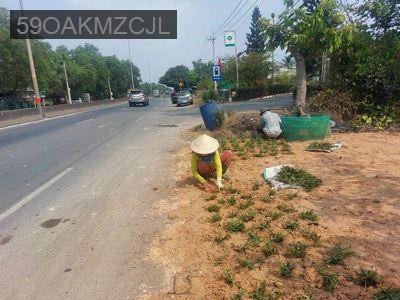 Bán nhà cũ mặt tiền QL22 Củ Chi - Xã Phước Hiệp  -  Huyện Củ Chi 