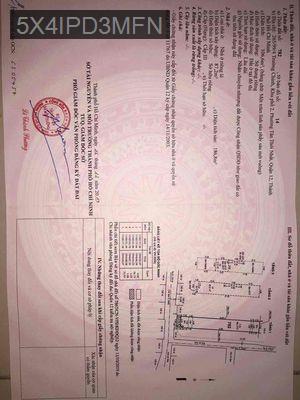 Nhà sát chợ Lạc Quang - Phường Tân Thới Nhất  -  Quận 12 