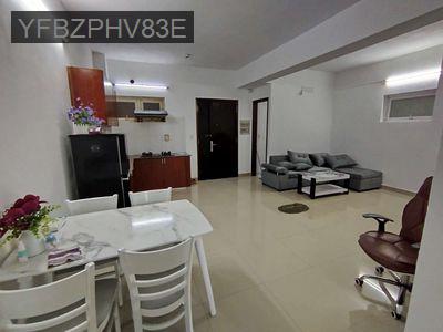 Bán gấp căn hộ Cao cấp Thái Sơn 80m2 full nội thất chỉ 2,5tỷ , sổ sẵn. - Phường Tân Tạo A  -  Quận Bình Tân 