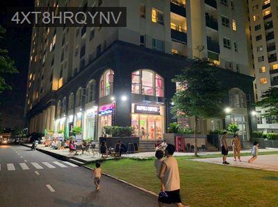 Tháng 12 mua nhà đón Tết với chung cư Dreamhome Palace quận 8 - Phường 7  -  Quận 8 