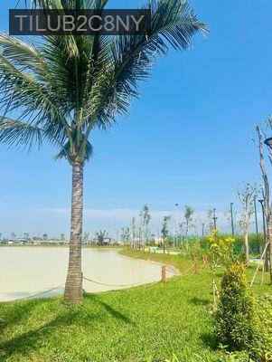 CHỈ 500TR MUA NHÀ 4 TẦNG VINHOME GREEN CITY TẶNG XE VF3, HỌC VINSCHOOL - Thị trấn Hậu Nghĩa  -  Huyện Đức Hòa 