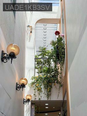 Hoa Sữa - 60m2 - 7.x ty - Phường 7  -  Quận Phú Nhuận 