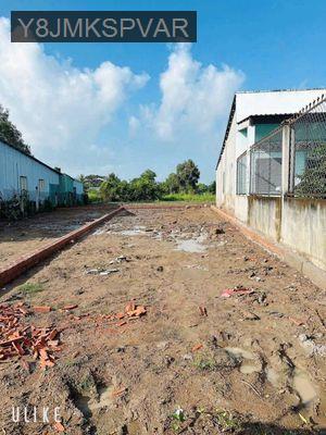 Bán đất mỹ lộc.cấn giuộc - Xã Mỹ Lộc  -  Huyện Cần Giuộc 