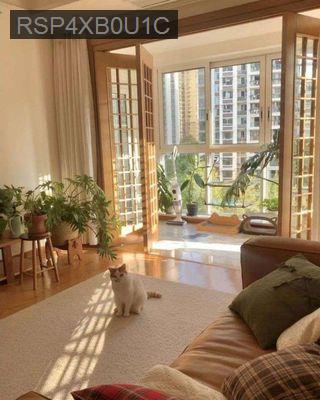 BÁN ASIANA CAPELLA 2PN 2WC 67M2 3.550 - Phường 10  -  Quận 6 