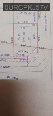 CẦN BÁN LÔ ĐẤT THỔ CƯ VÀ VƯỜN – ĐƯỜNG SỐ 9, HIỆP BÌNH PHƯỚC, THỦ ĐỨC - Phường Hiệp Bình Phước  -  Quận Thủ Đức 
