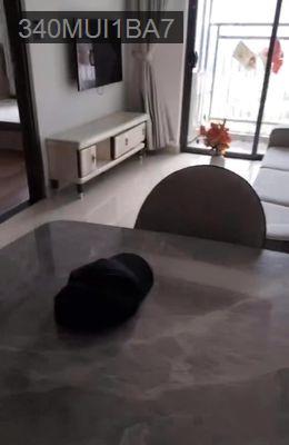 1PN 53m2 - Giá 3 tỷ - Đủ nội thất, hướng Tây, tầng 22 - Q7 Riverside - Phường Phú Thuận  -  Quận 7 