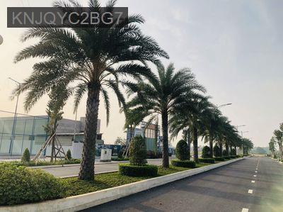 bán gấp lô đất full thổ 1/500 sieu đẹp chỉ 2ty -king hill đối diện ECO - Thị trấn Bến Lức  -  Huyện Bến Lức 