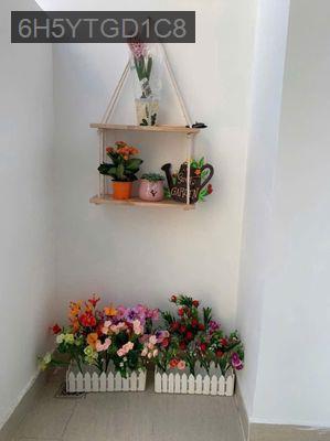 TÔI CHỦ NHÀ CẦN BÁN CHIUNG CƯ TOPAZ CITY 65M2 2PN ĐÃ CÓ SỔ CĂN GỐC - Phường 4  -  Quận 8 