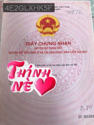 Bán nhà chính chủ phường 16 gò vấp siêu rẻ - Phường 16  -  Quận Gò Vấp 