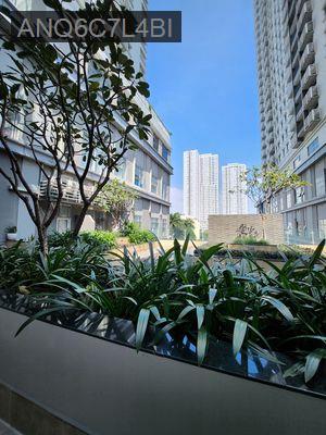 Quản lý nhiều căn hộ cần bán từ Offictel 1 2 3 4PN tại Sunrise City Q7 - Phường Tân Hưng  -  Quận 7 