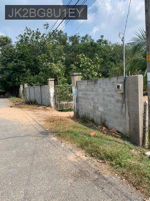 🌳ĐẤT MẶT TIỀN ĐƯỜNG HÀ THỊ PHIÊN, CỦ CHI - THƯƠNG LƯỢNG GIÁ🌳 - Xã Phú Mỹ Hưng  -  Huyện Củ Chi 