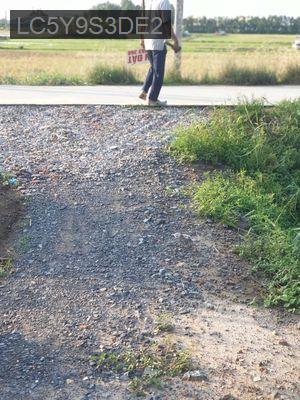 BÁN ĐẤT ĐẸP GIÁ TỐT TẠI LONG AN – SỔ HỒNG RIÊNG - Xã Long Định  -  Huyện Cần Đước 