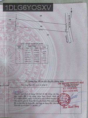 Bán lô đất đường nhựa xe tải củ chi 1600m - Xã Phú Mỹ Hưng  -  Huyện Củ Chi 