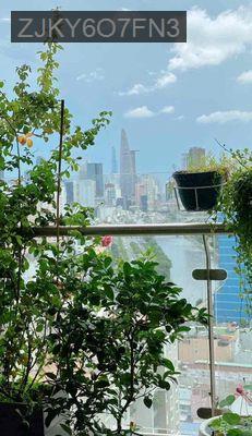 [THE GOLD VIEW] VIEW "TRIỆU ĐÔ" TỪ BAN CÔNG NHÀ BẠN CÒN *** 1 CĂN - Phường 1  -  Quận 4 