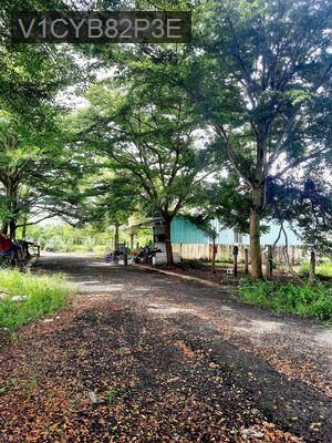💥 CHỐT NHANH ĐẤT LONG AN –  80m²- GIÁ 1TỶ5 💥 - Xã Long Hoà  -  Huyện Cần Đước 