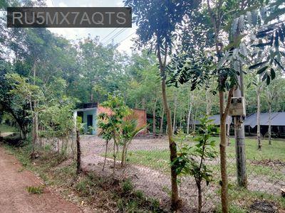 Bán đất - Xã Long Hòa  -  Huyện Dầu Tiếng  - 6253m² - 7tỷ
