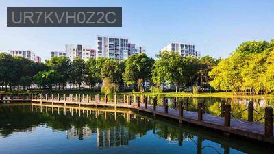 chính chủ cần  bán căn hộ 2 pn,2wc sổ hồng riêng - Phường Sơn Kỳ  -  Quận Tân Phú 