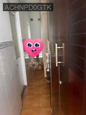 Nhà Lô góc xây dựng full đất hẻm thông thoáng. - Phường Tân Thới Hoà  -  Quận Tân Phú 