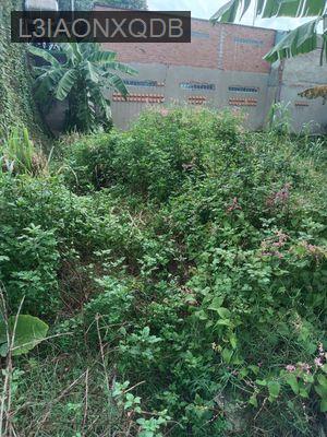 Chủ kẹt tiền cần bán gấp 300m2 đất thổ cư Thới Thượng 29, Hóc Môn... - Xã Xuân Thới Thượng  -  Huyện Hóc Môn 