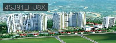 San Nhượng Căn Penhoues , DT : 545m2 , 6PN , CC Hoàng Anh An Tiến - Xã Phước Kiển  -  Huyện Nhà Bè 