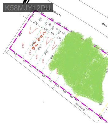 Mt Apd 10 đối diện ntt - Phường An Phú Đông  -  Quận 12 