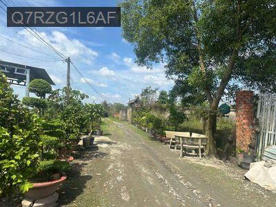 CÔNG CHỨNG GẤP LÔ ĐẤT NGỘP FULL THỔ GIÁ RẺ NHẤT KHU VỰC - Xã Hòa Phú  -  Huyện Củ Chi 