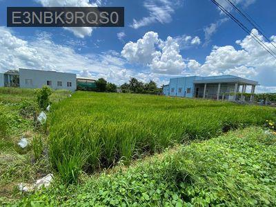 đất Thổ cư cho anh em cần phân lô bán nền - Xã Long Hoà  -  Huyện Cần Đước 