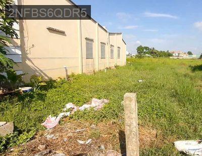 Hot : Cần bán lô đất thổ cư hẻm xe hơi - Xã Phước Lâm  -  Huyện Cần Giuộc 