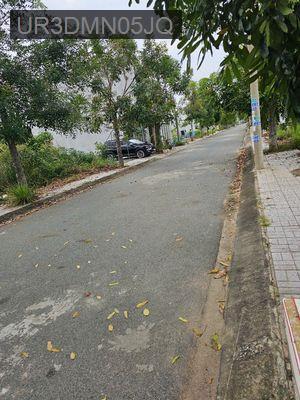 Nhà , Đất cần bán - Xã Mỹ Hạnh Bắc  -  Huyện Đức Hòa 
