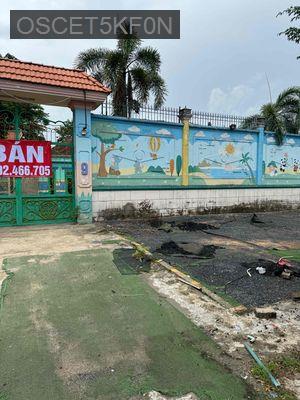 Bán 300 mét thổ cư. 655,5 mét đất trồng cây lâu năm. - Xã Bình Mỹ  -  Huyện Củ Chi 