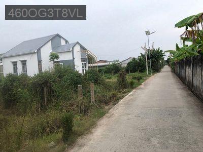 Bán đất Long An  - Xã Phú Ngãi Trị  -  Huyện Châu Thành 